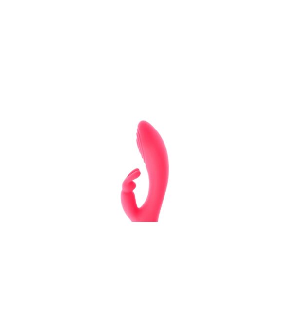 VIRGITE RABBIT POINT G – Image 2